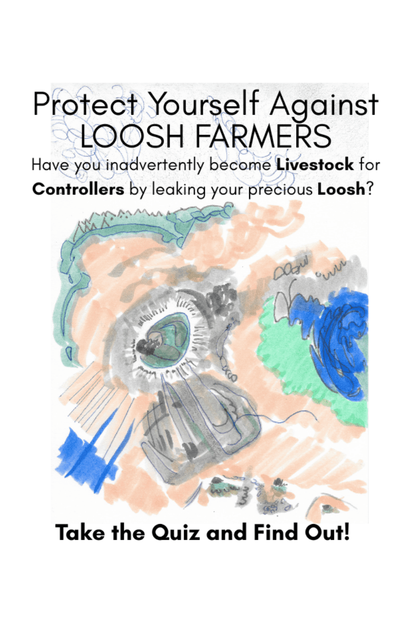 loosh farm quiz zine