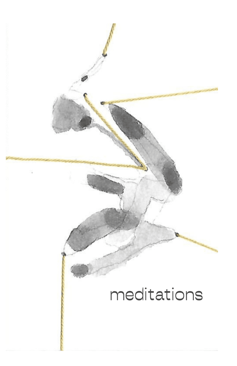 meditations zine